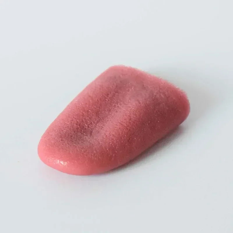 Fausse Langue en Silicone